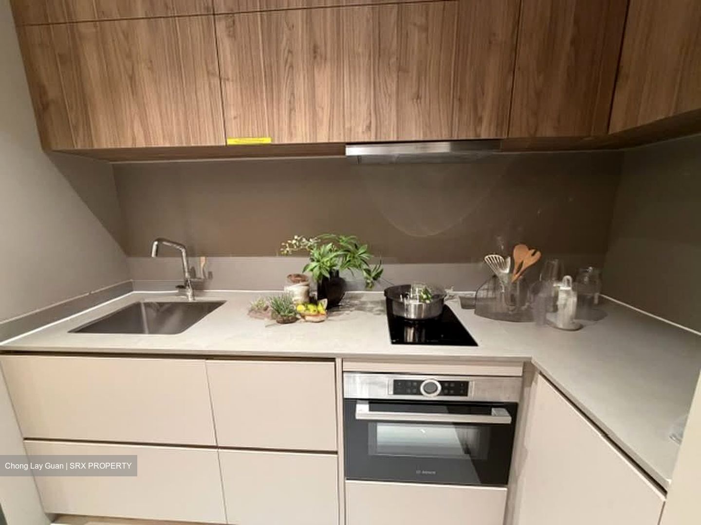 Parksuites (D10), Apartment #580726821